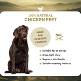Chicken Feet - Dog Treats