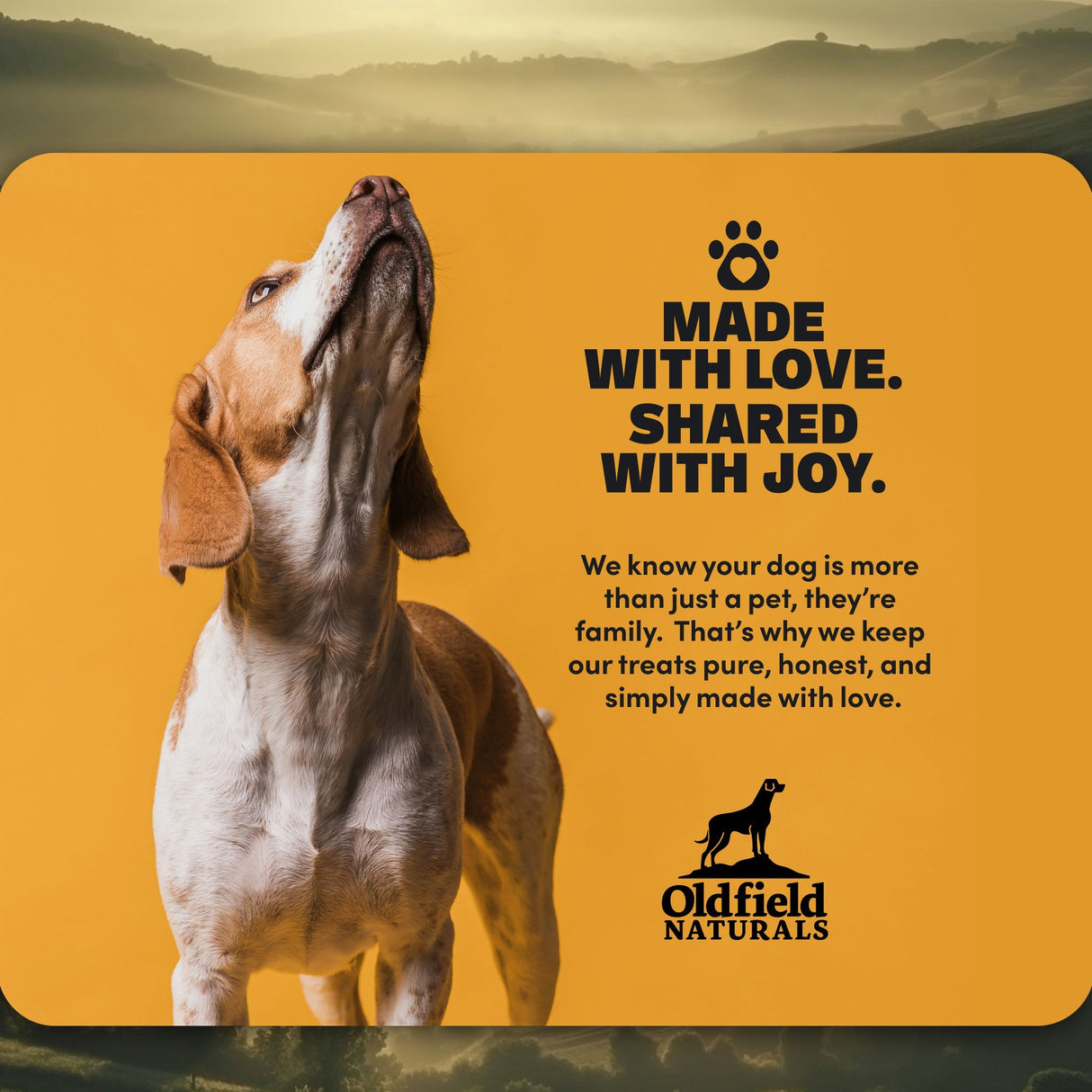 Chicken Feet - Dog Treats