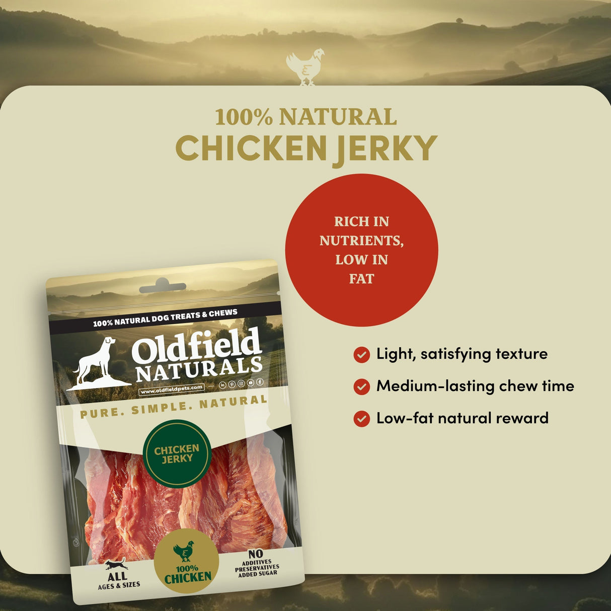 Chicken Jerky - Dog Treats (8.8 oz)