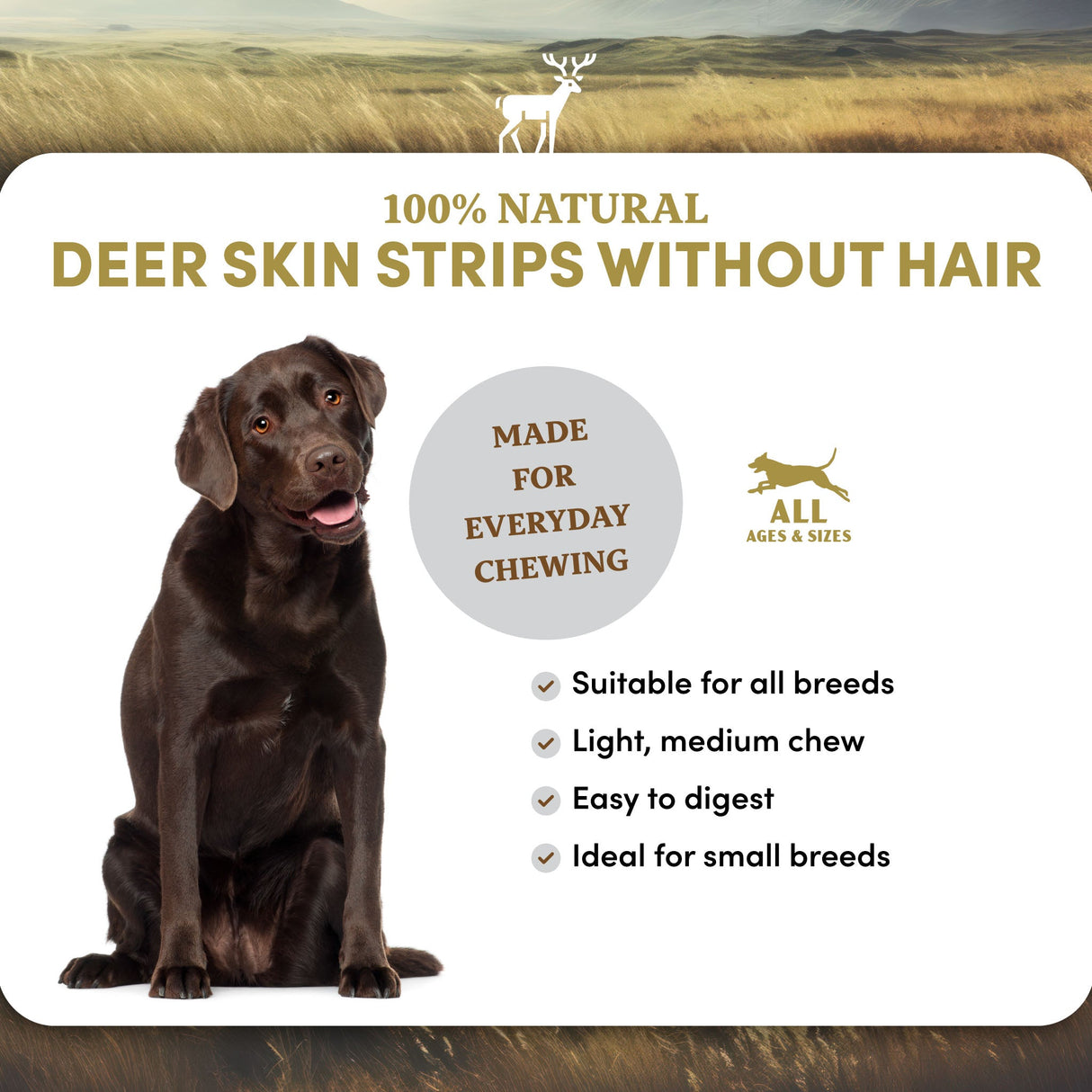 Deer Skin Strips - Dog Treats