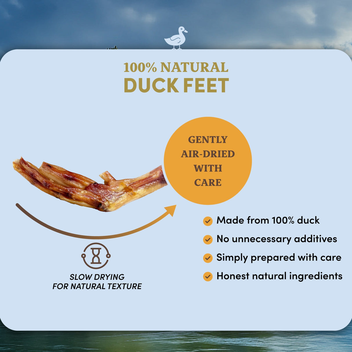 Duck Feet - Dog Treats