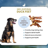 Duck Feet - Dog Treats