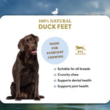 Duck Feet - Dog Treats