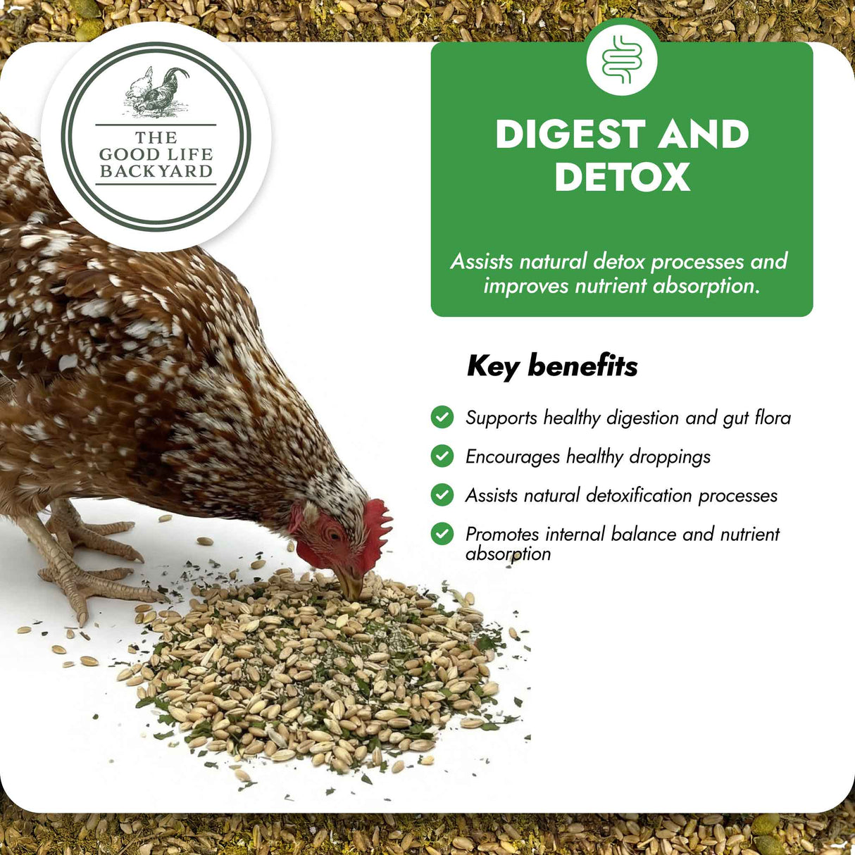 Digest & Detox - Gut Health Blend (Chicken Feed Additive)