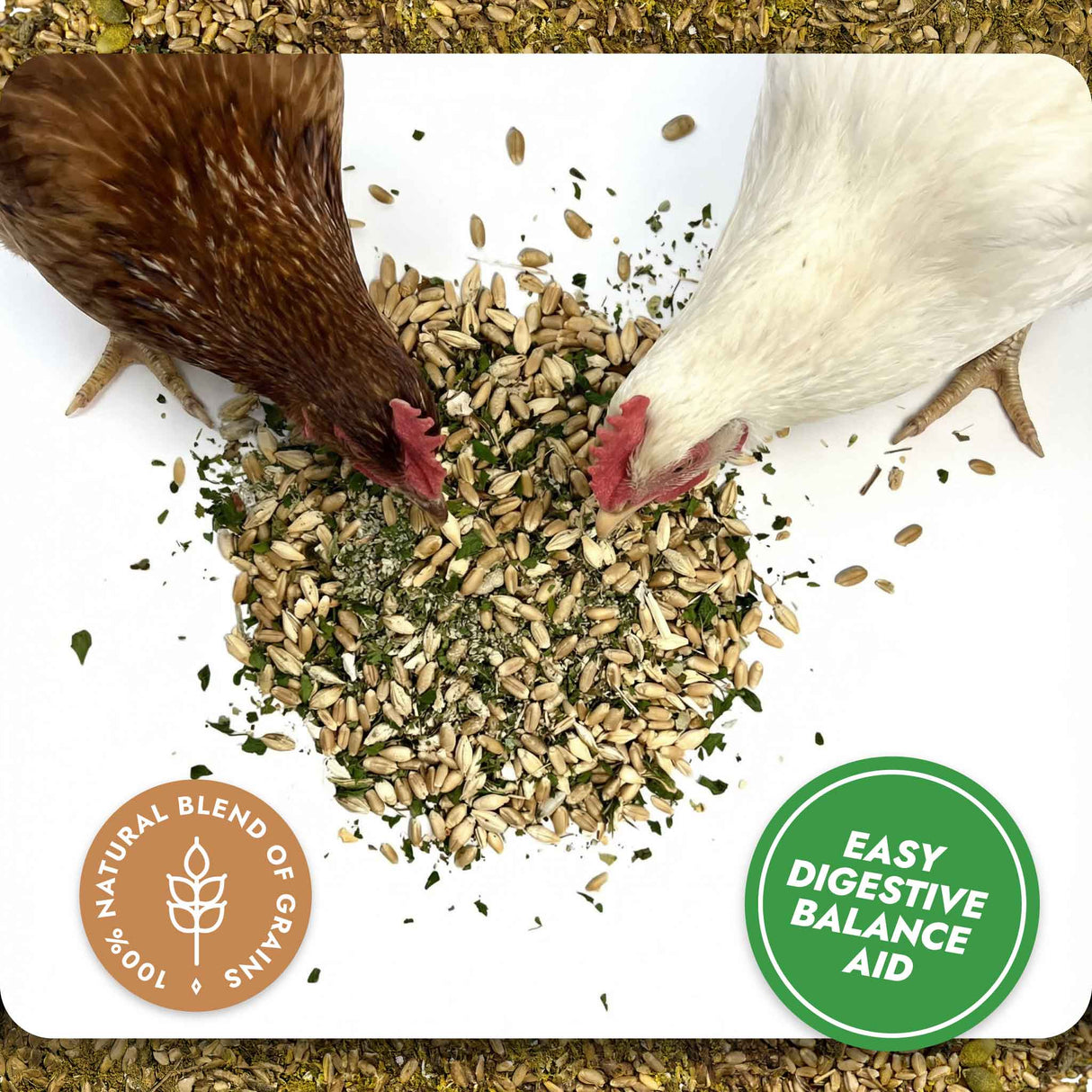 Digest & Detox - Gut Health Blend (Chicken Feed Additive)
