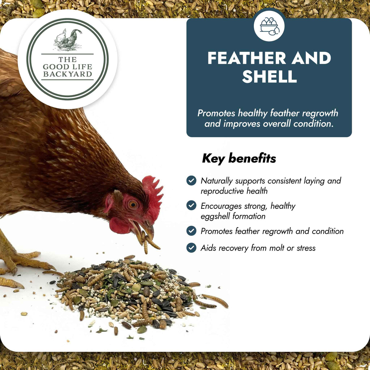 Feather and Shell - Calci-Protein Blend (Chicken Feed Additive)