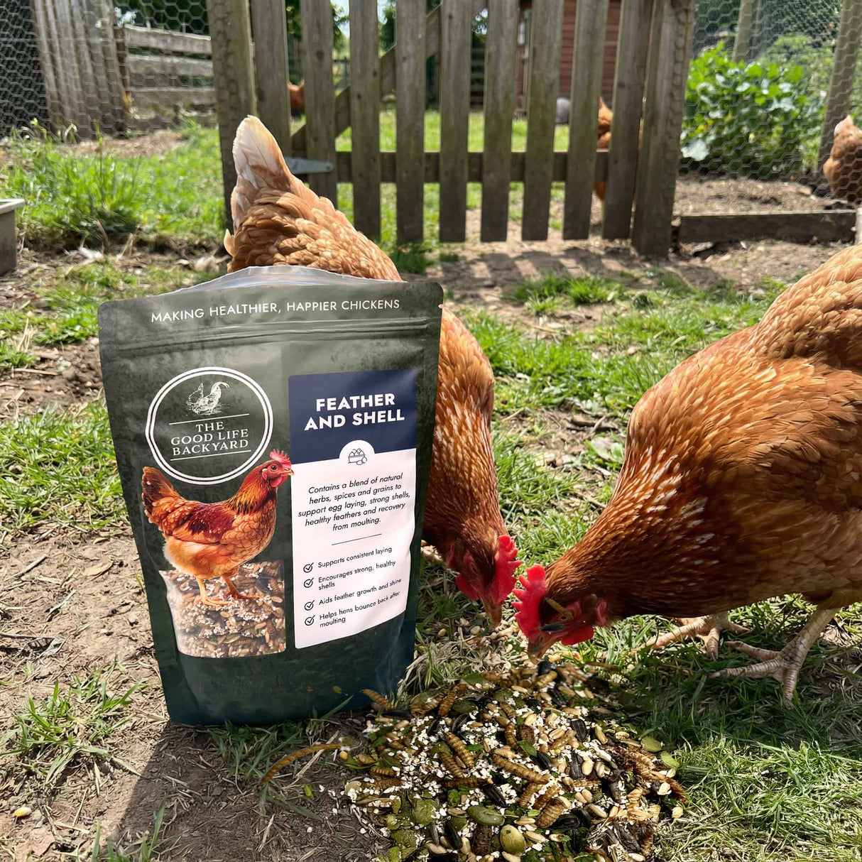 Feather and Shell - Calci-Protein Blend (Chicken Feed Additive)