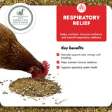 Respiratory Relief - Spice Blend (Chicken Feed Additive)
