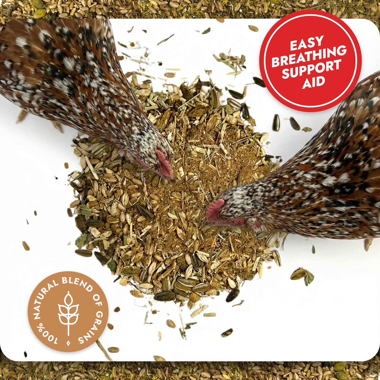 Respiratory Relief - Spice Blend (Chicken Feed Additive)
