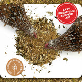 Respiratory Relief - Spice Blend (Chicken Feed Additive)