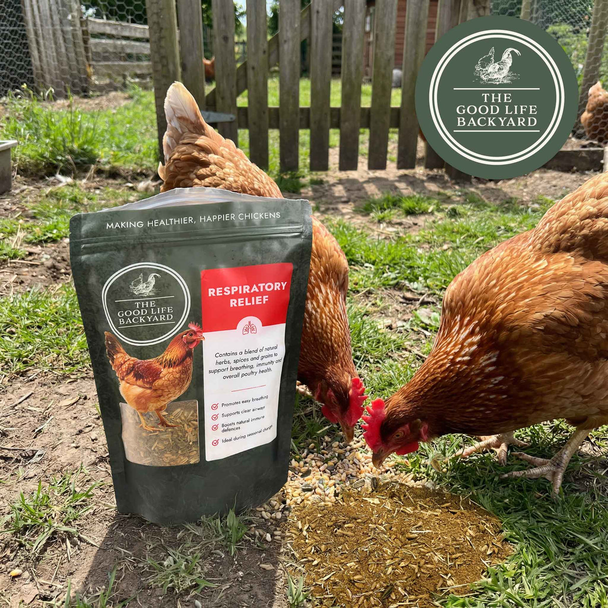 Respiratory Relief - Spice Blend (Chicken Feed Additive)