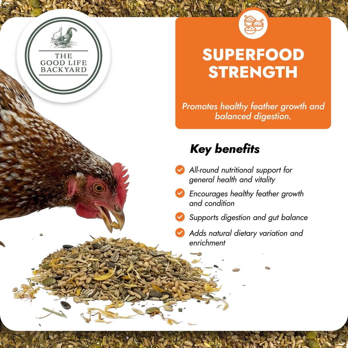 Superfood Strength - General Wellbeing (Chicken Feed Additive)