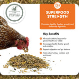 Superfood Strength - General Wellbeing (Chicken Feed Additive)