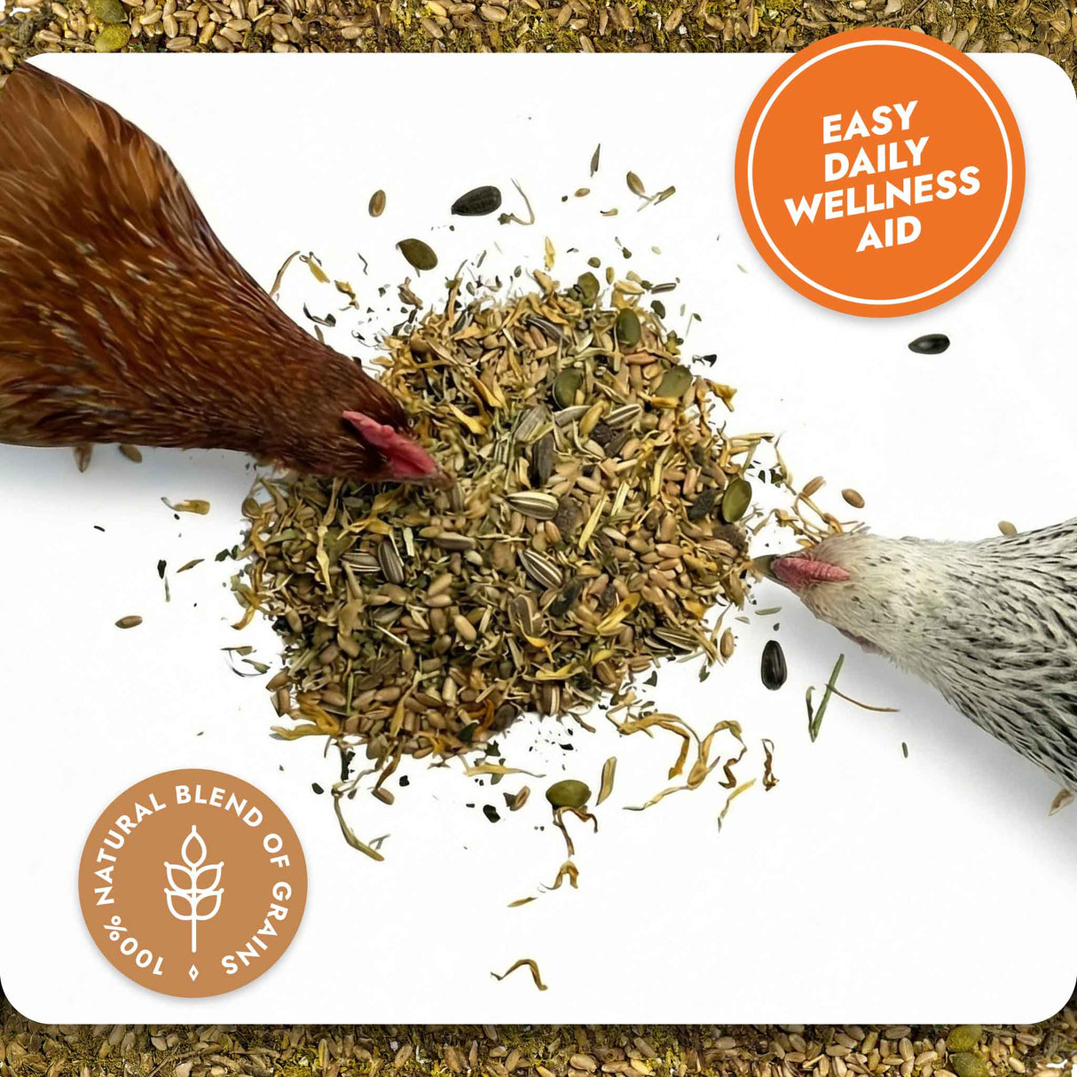 Superfood Strength - General Wellbeing (Chicken Feed Additive)