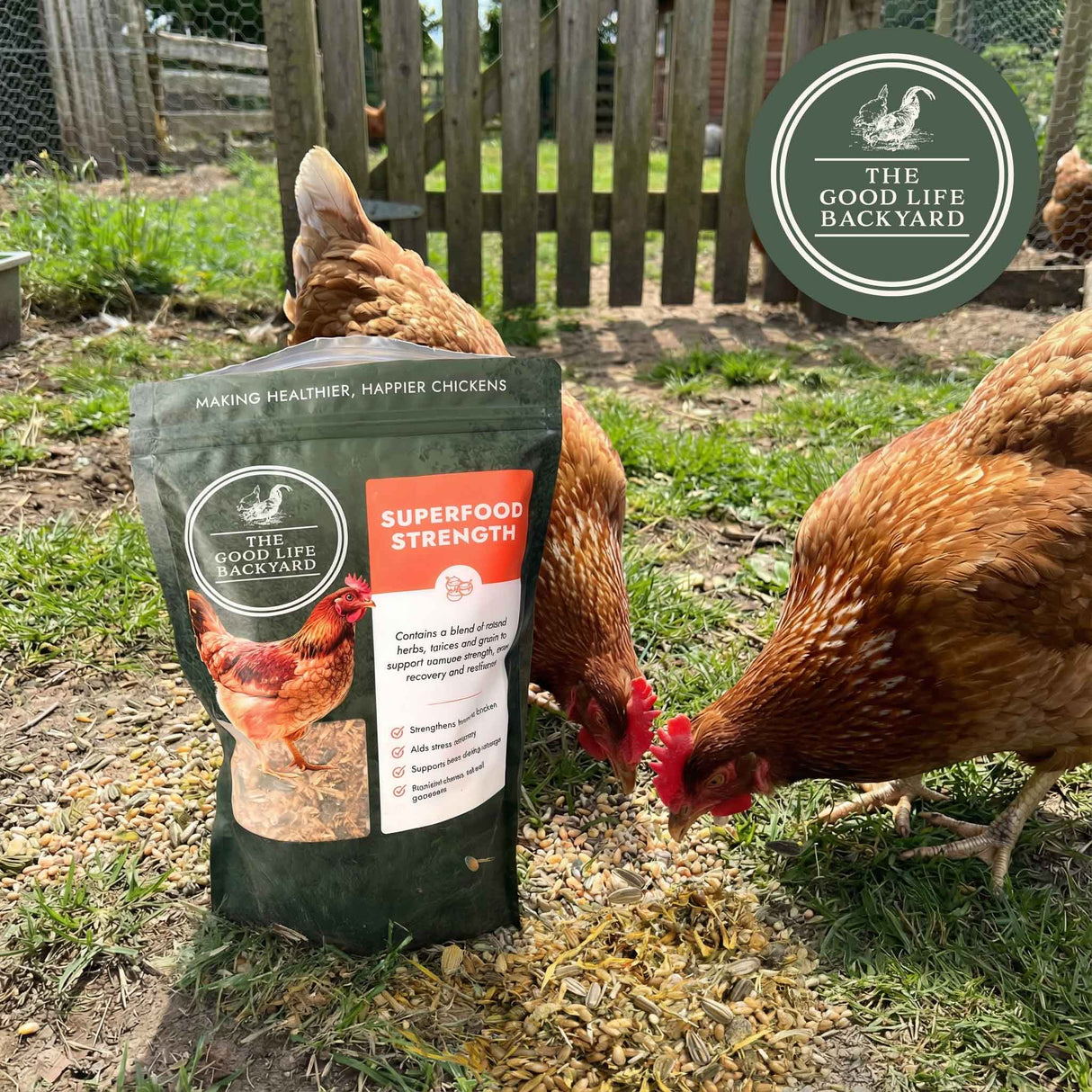Superfood Strength - General Wellbeing (Chicken Feed Additive)