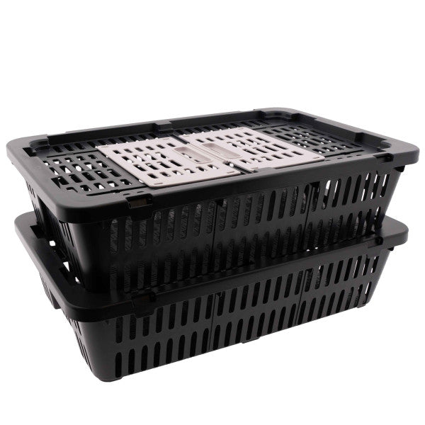 Quail & Pigeon Transport Coop